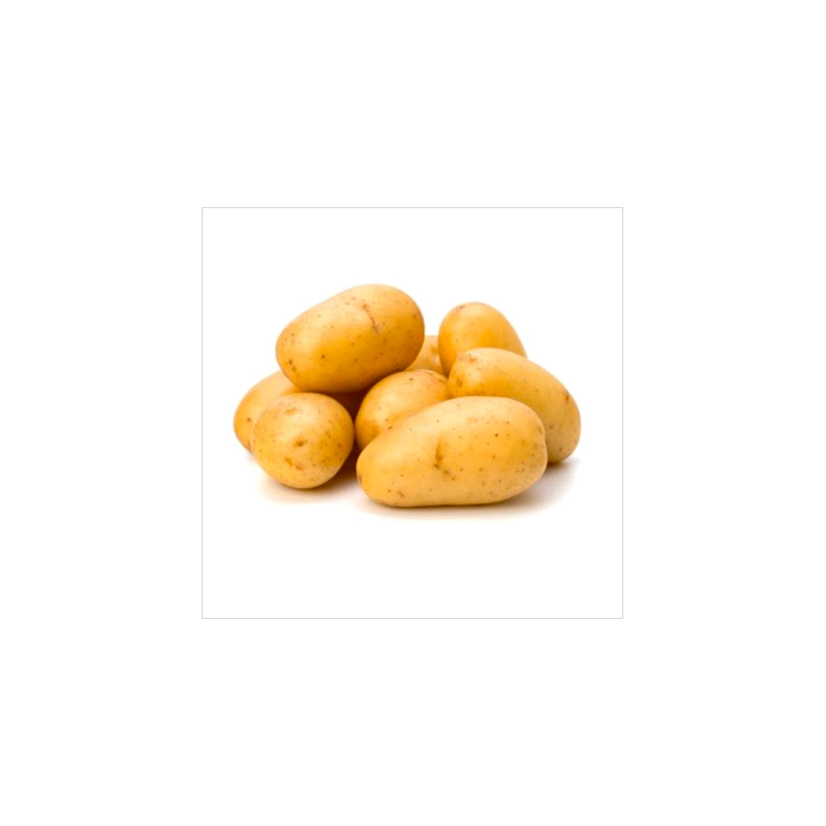 Potato - Pakistan
