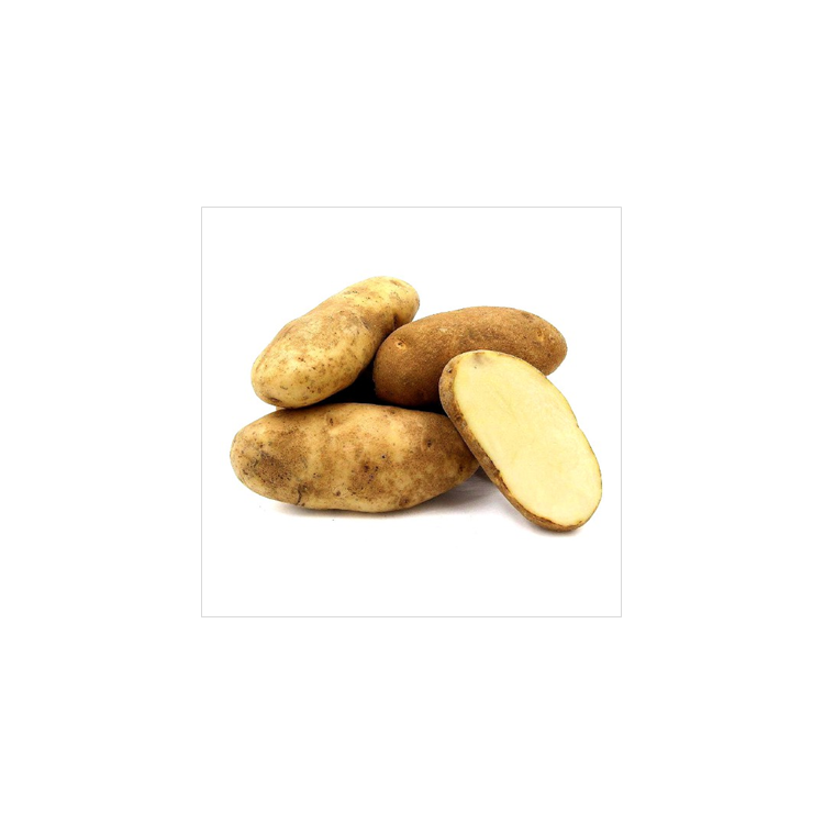  Russet Potato - USA