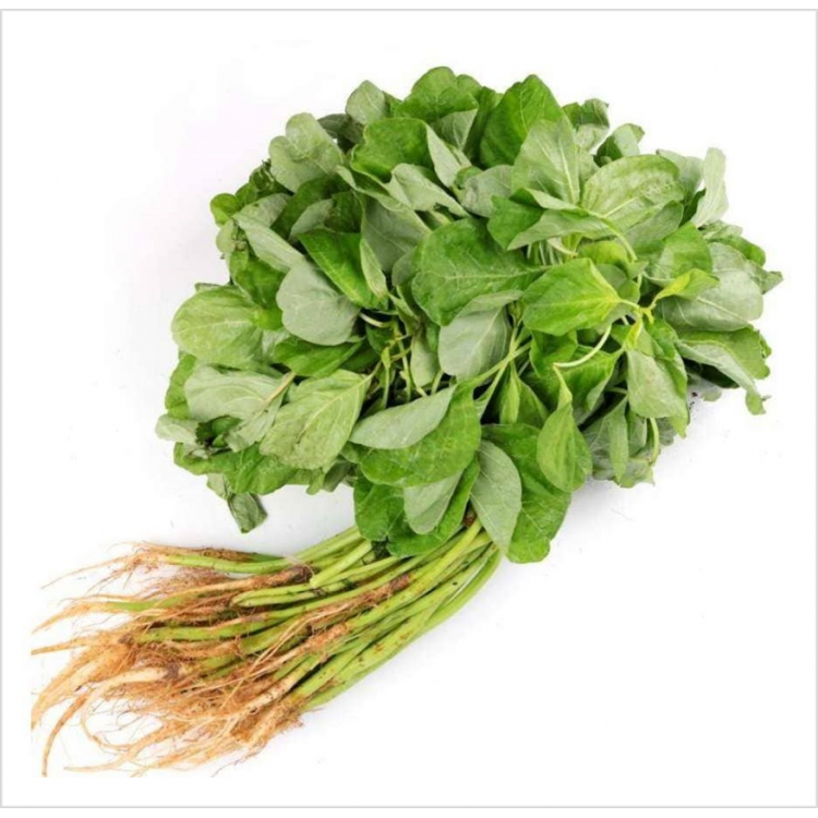 Green Spinach / Bayam Hijau ( A+/1 kg )