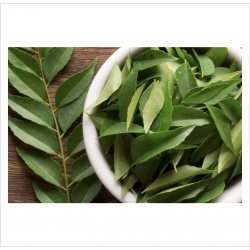 Curry Leaf / Daun Kari ( 200g )