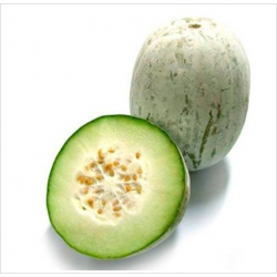 Wintermelon / Kundur ( A+1kg )