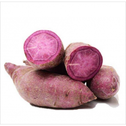 Japanese Sweet Potato ( purple ) / Keledek Ungu紫番薯 (A+/ 1kg )