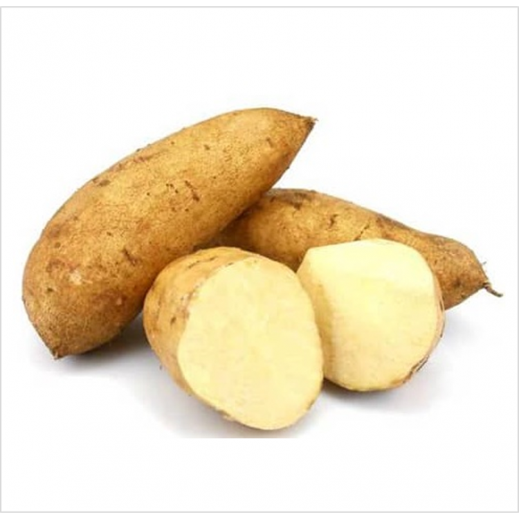Sweet Potato ( White ) / Keledek Putih 白番薯(A+/ 1kg )