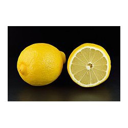 lemon ( 1pcs )