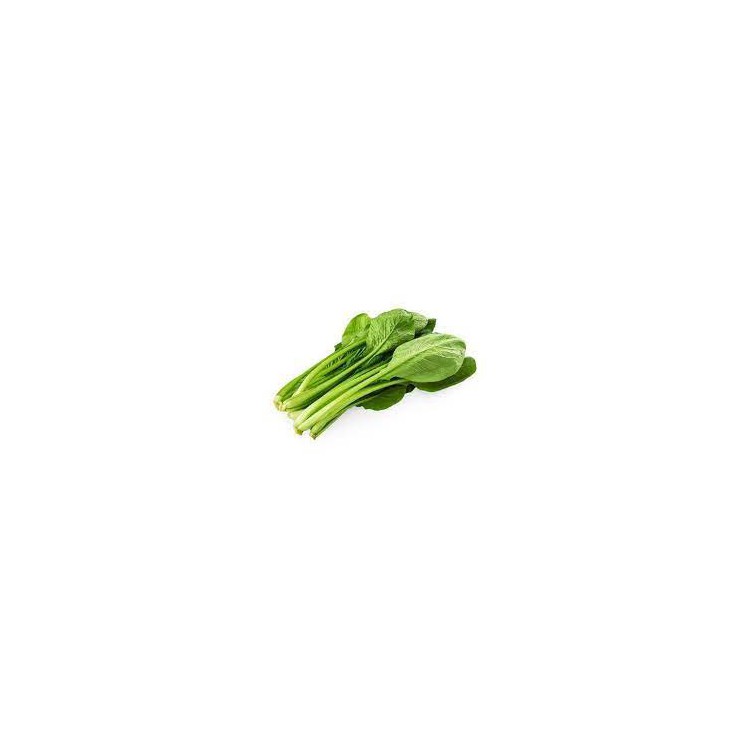 Horenso Spinach Cameron/ Poh Choy 菠菜( A+1kg )
