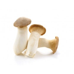 Eringi Mushroom (1 Package )