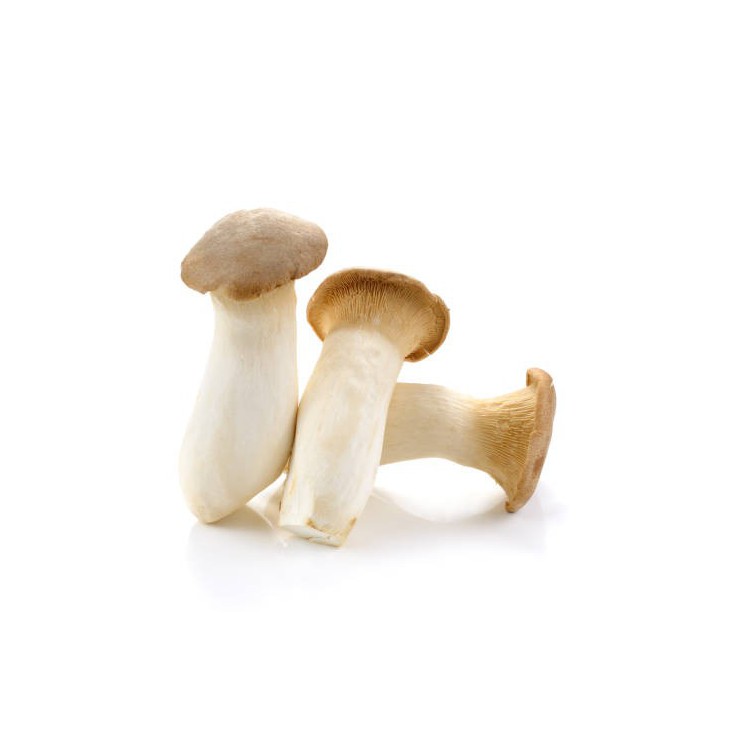 Eringi Mushroom (1 Package )
