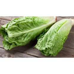 romaine lettuce ( 1 kg )