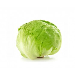lceberg Lettuce Cameron / Salad Bulat 玻璃生菜 (A+ 1 kg± )
