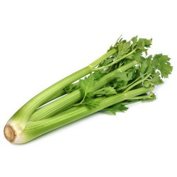 Celery / Batang Sup 芹菜( 1kg )