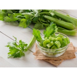 Celery / Batang Sup 芹菜( 1kg )