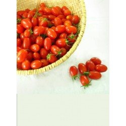 Cherry  tomato （1kg )