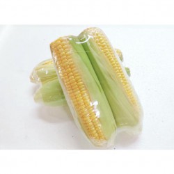 Fresh Sweet Corn ( 2 pcs )
