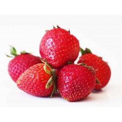 Strawberry 草莓 (A+ packet )