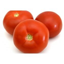Tomato L ( 1kg )
