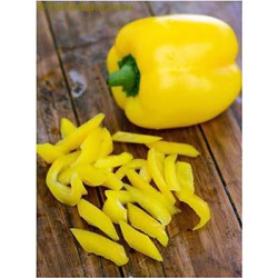 Yellow Capsicum ( 1KG )