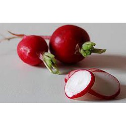 Baby Red Raddish （ 3 kg） out of stock