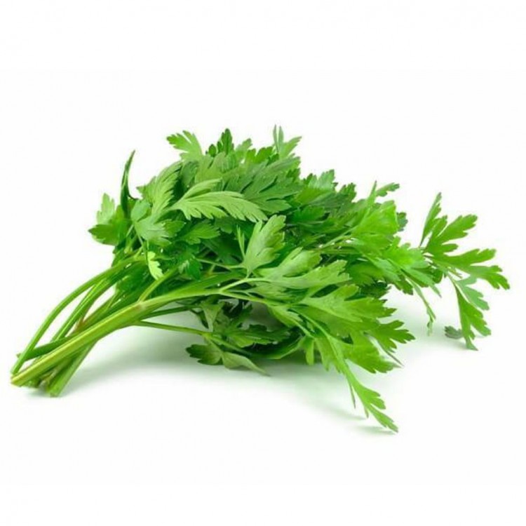 Celery Leaves / Daun Soup / 芹菜( A+1kg )