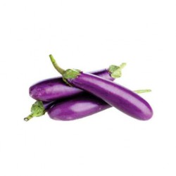 Mini Eggplant / Terung Mini (A+ 2kg )
