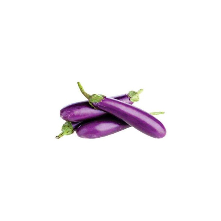 Mini Eggplant / Terung Mini (A+ 2kg )