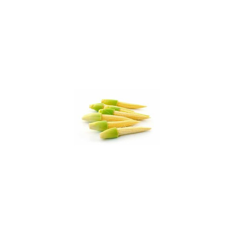 Baby Corn 玉米芯 ( 1 packet )