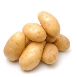potato XL ( 1kg )