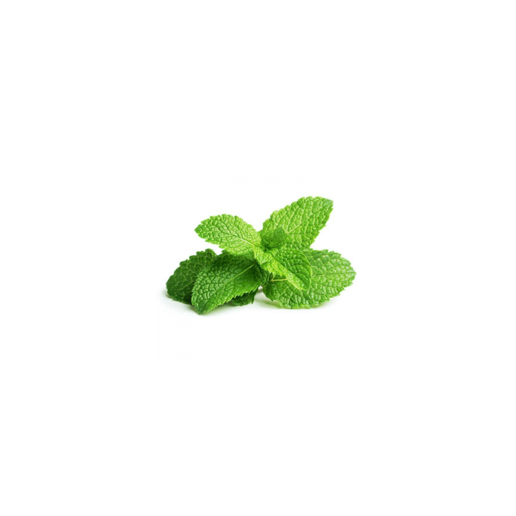Mint Leaf / Daun Pudina 薄荷(A+1kg)