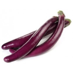 long eggplant ( 1 kg )