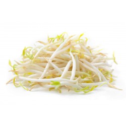 Bean Sprout -Washed / Tauge  洗水芽菜 (A+ 3kg )