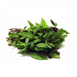 Basil Leaf / Daun Selasih 紫苏叶 ( A+500g )