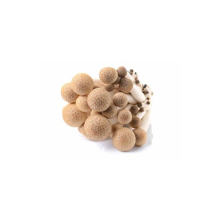 Brown shimeji mushroom ( Packet )