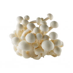 White shimeji mushroom ( Packet )