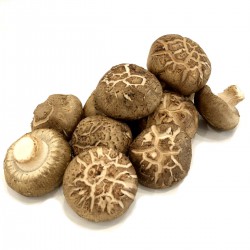 Shiitake Mushroom 香菇 ( 1 packet )