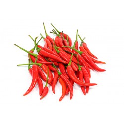 Red Chilli Padi-Import / Cili Padi 红米椒 (A+ 500g )