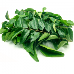 Curry Leaf / Daun Kari ( 200g )