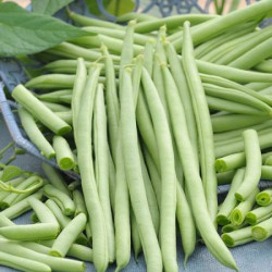 French bean / Buncis 桂豆 A+（1 kg）