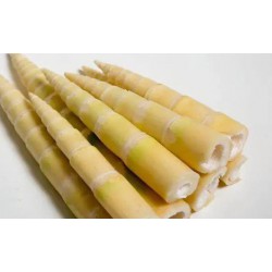 Terung batang 竹笋 (1 kg) 