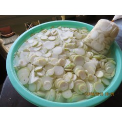 Rebung Kepong 竹笋-片 (1kg)