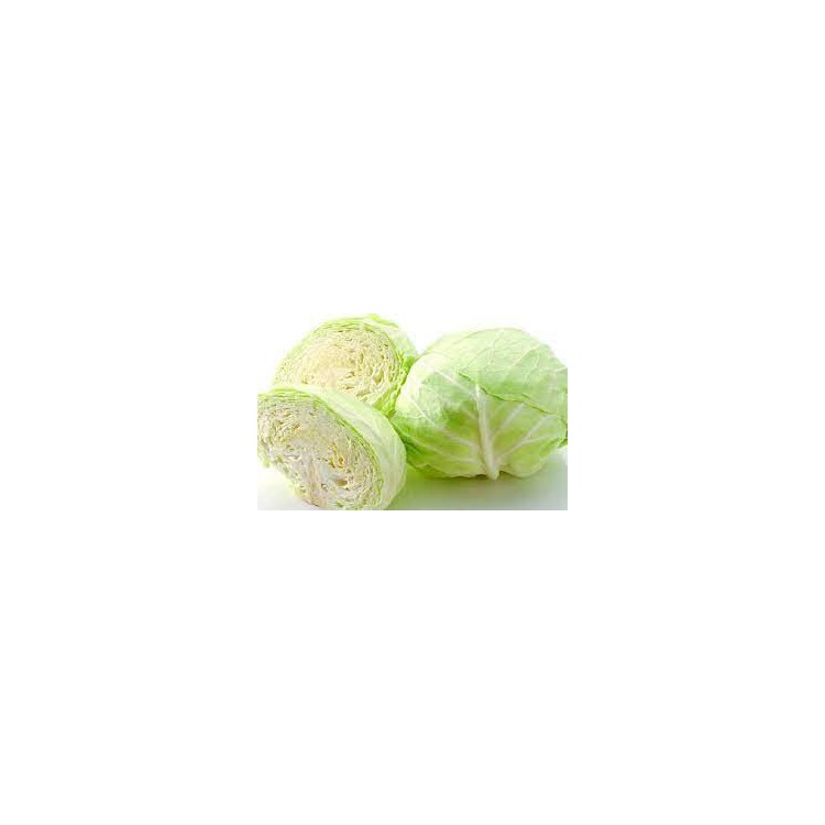 Cabbage China 