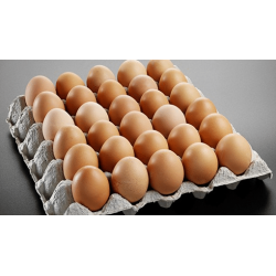 Egg (B)/ Telur 1 papan ( 30 pcs ) 雞蛋