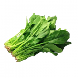 Horenso Spinach HK / Poh Choy 菠菜( 2kg)