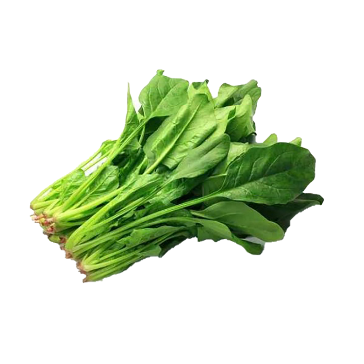 Horenso Spinach HK / Poh Choy 菠菜( 200g )