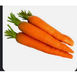 Carrot /红罗卜1Bo(5）