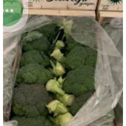Broccoli/西蘭花(1Box)