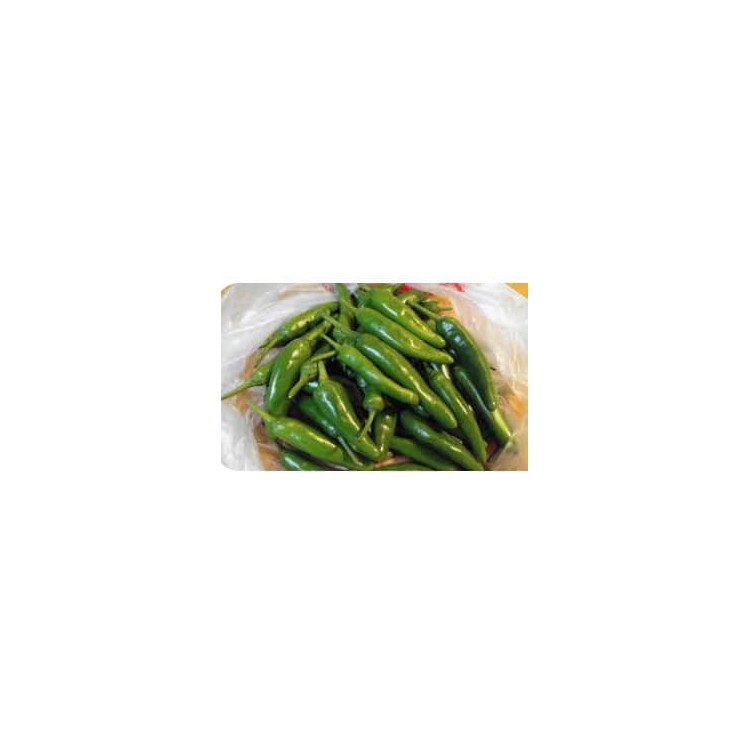 Green chillli 青辣椒（10kg 1Box)