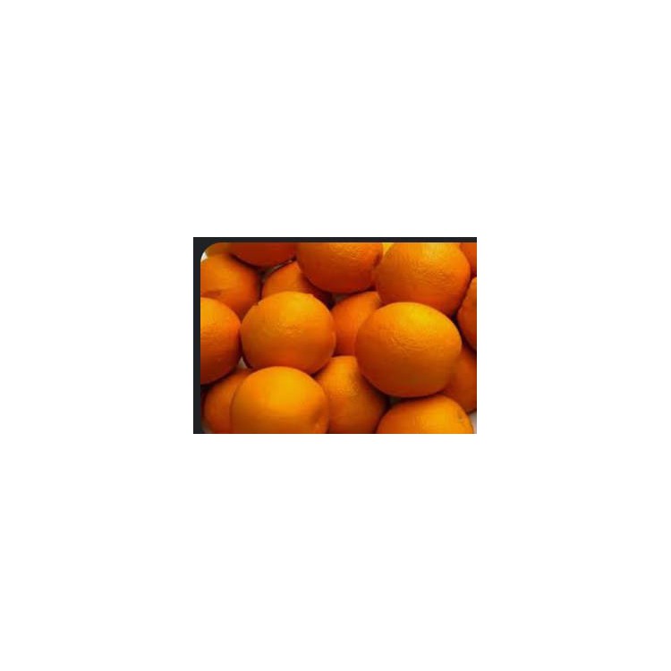 orange/鮮橙