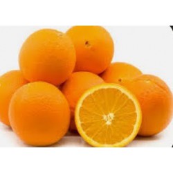 orange/鮮橙(1Box