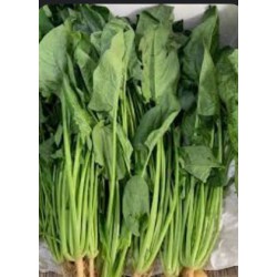 Horenso Spinach HK / Poh Choy 菠菜( 20kg