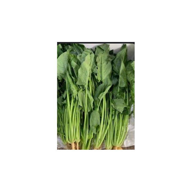 Horenso Spinach HK / Poh Choy 菠菜( 10kg1Box)