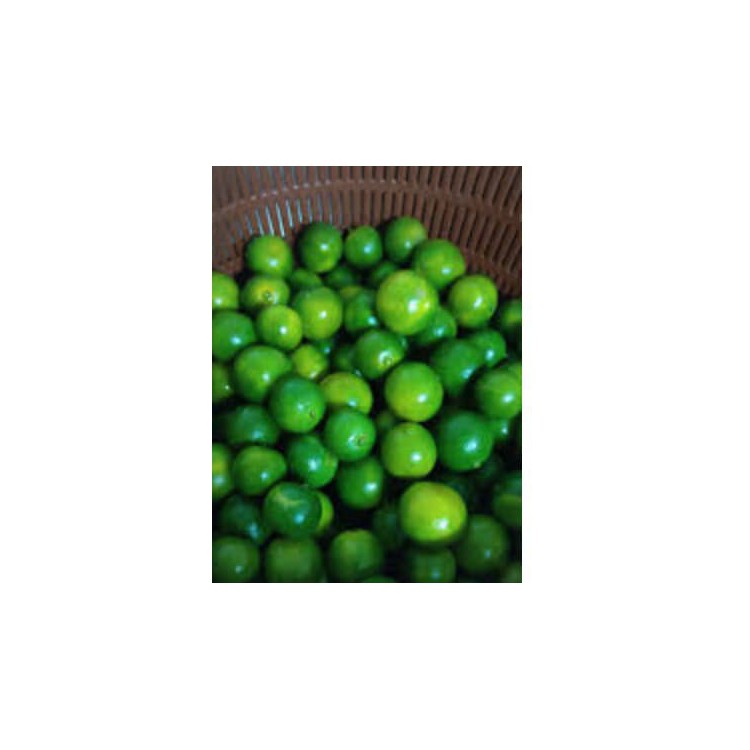 key Lime(big ）/Limau Nipis/大吉 (10kg/1pkt)